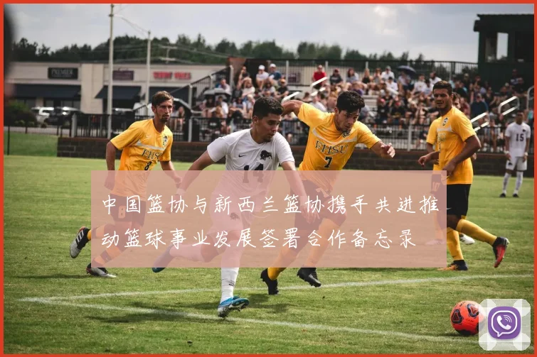 中国篮协与新西兰篮协携手共进推动篮球事业发展签署合作备忘录